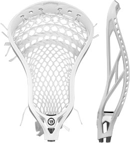 EvoQX Head with Net