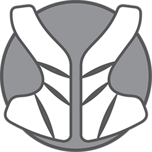 Cage Fit System